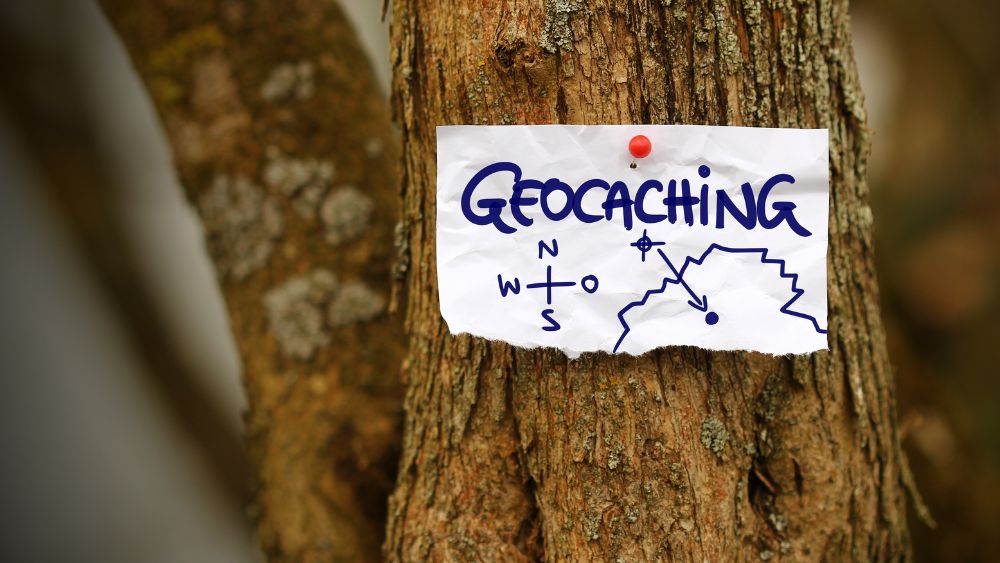 Geocaching sign on tree.
