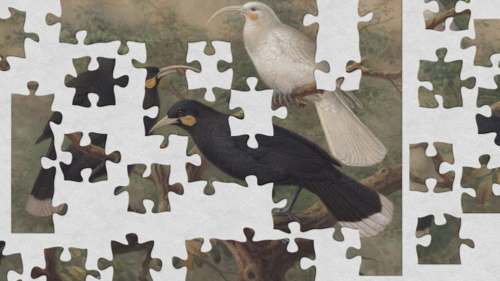 Te Papa Jigsaws