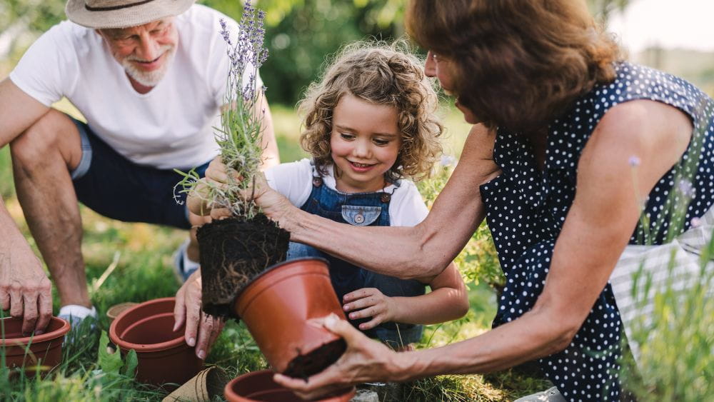 Grandparents gardening with grandchild