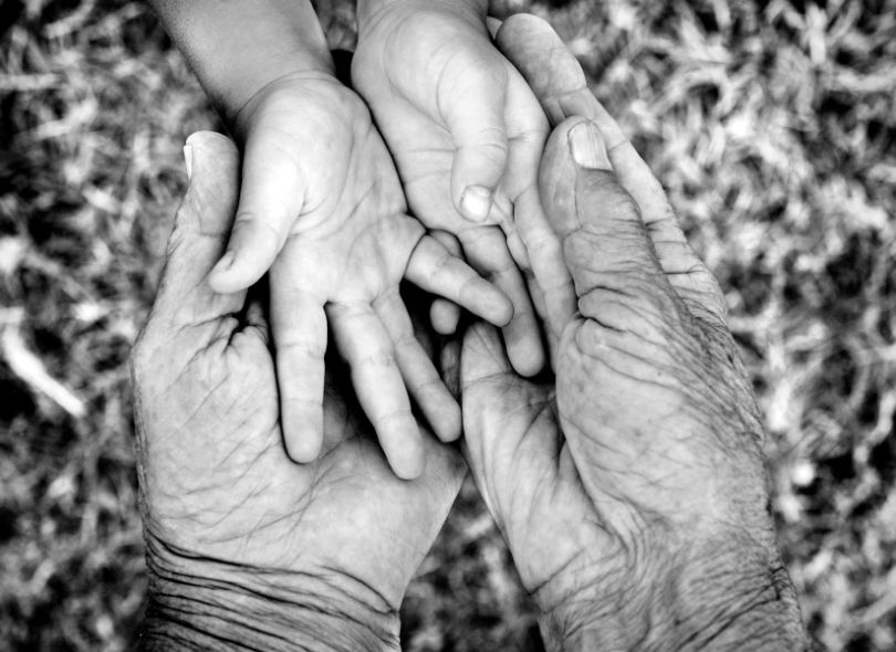 Hands of grandparent and grandchild