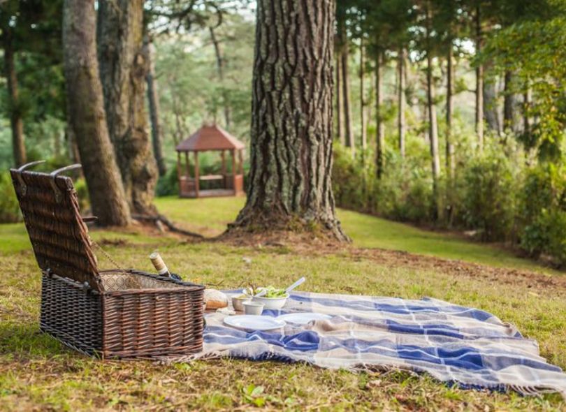 Have a picnic at Falls Retreat New Zealand.