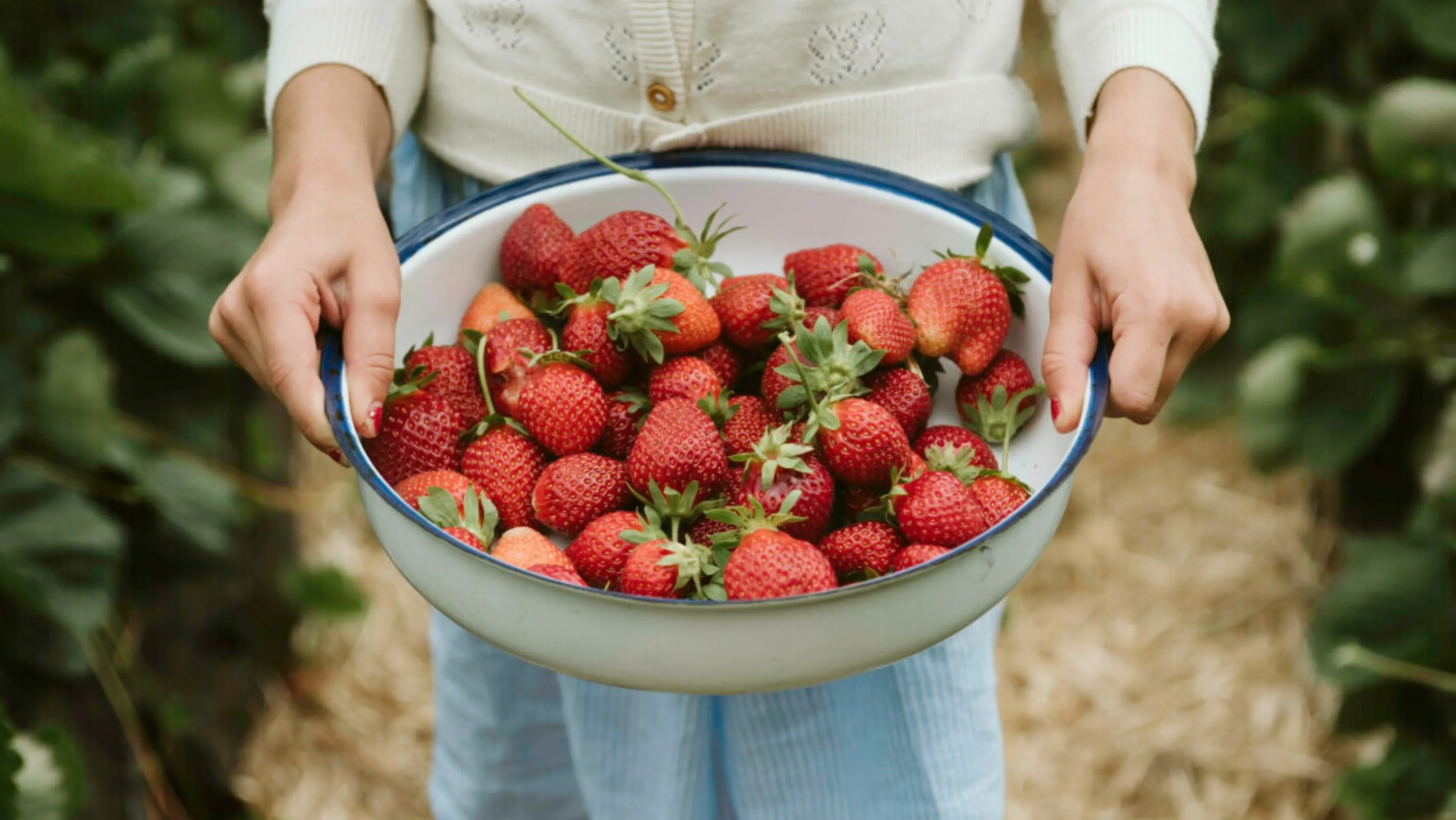 Girl holding bowl of freshly picked strawberries.