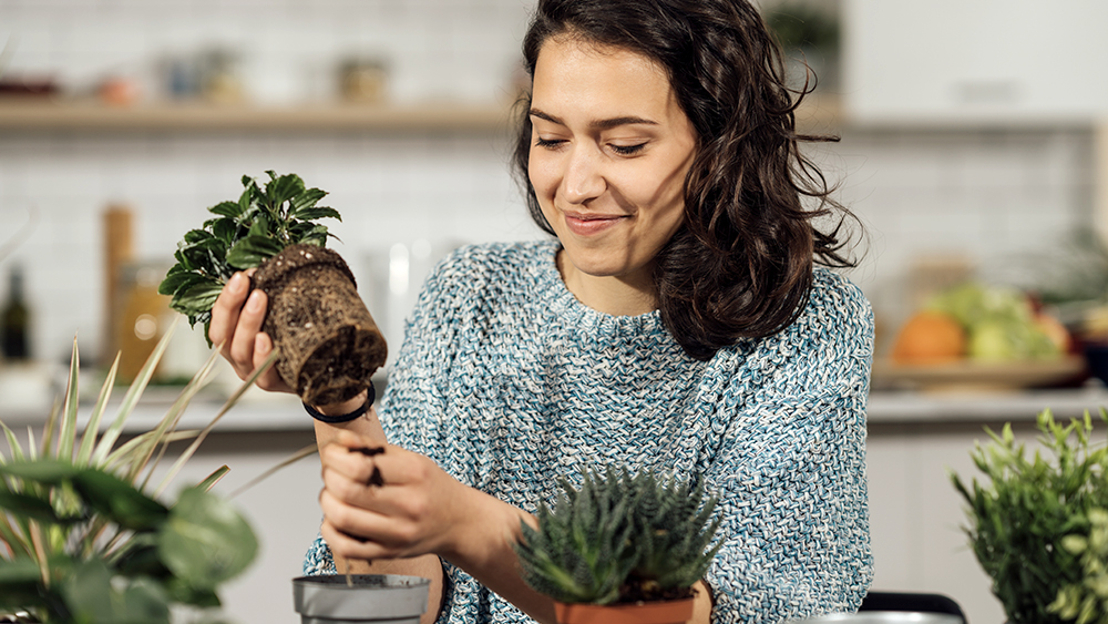 Woman growing indoor plants