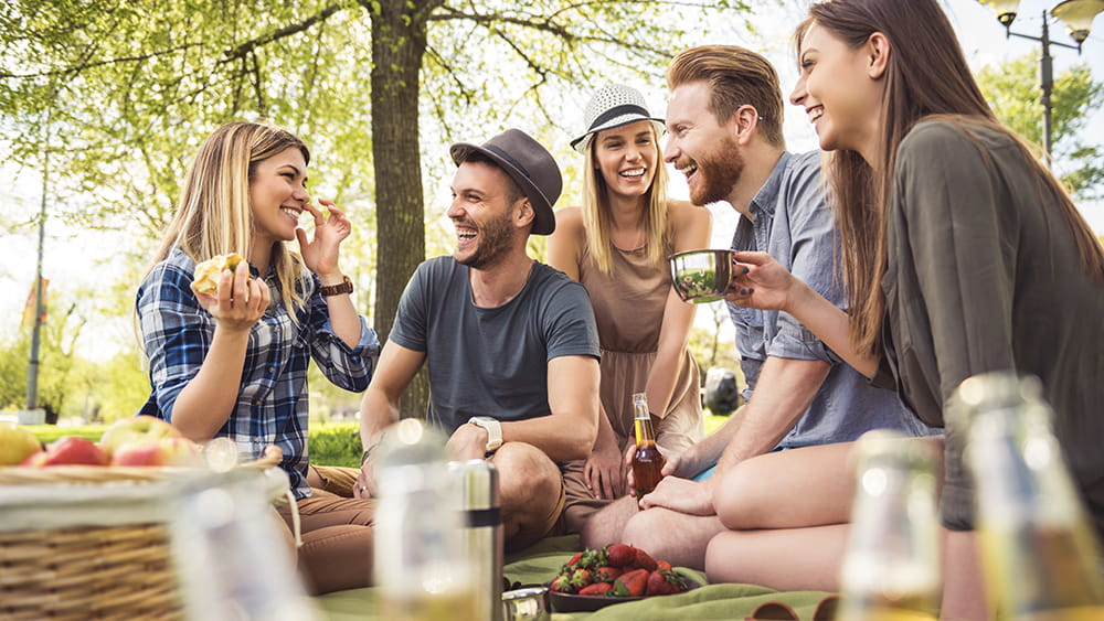 Friends on a picnic